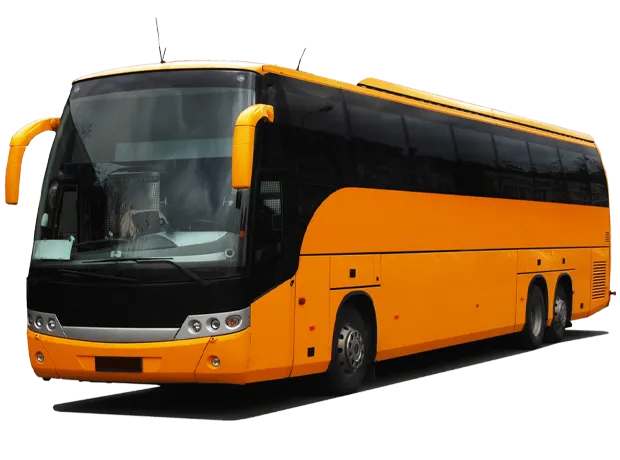 VIP COACH